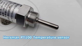 Hersman pt100 temperature sensor